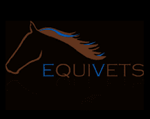 Equivets