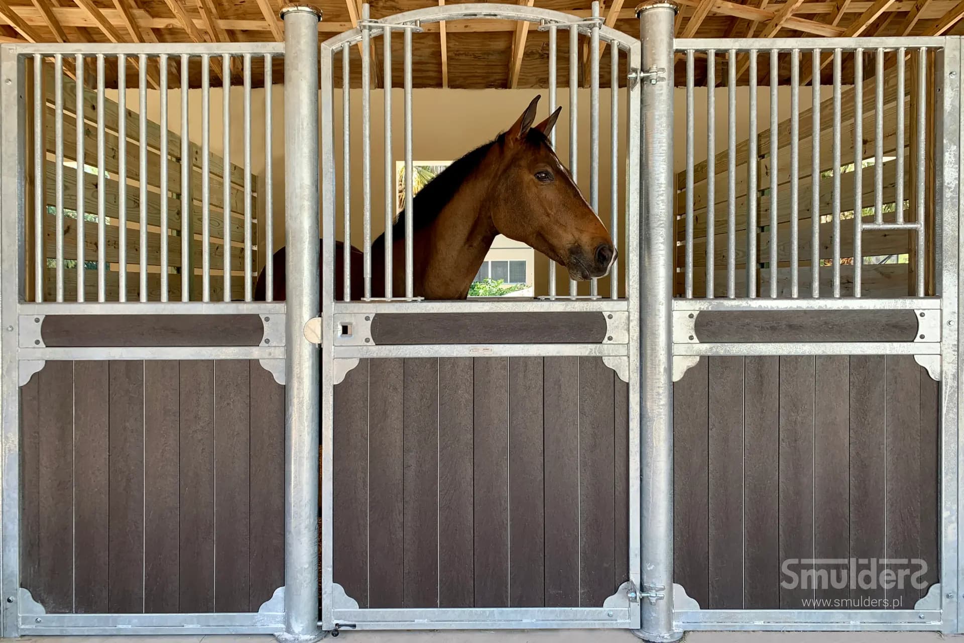 Stallion Drive, Florida, USA — billede 4