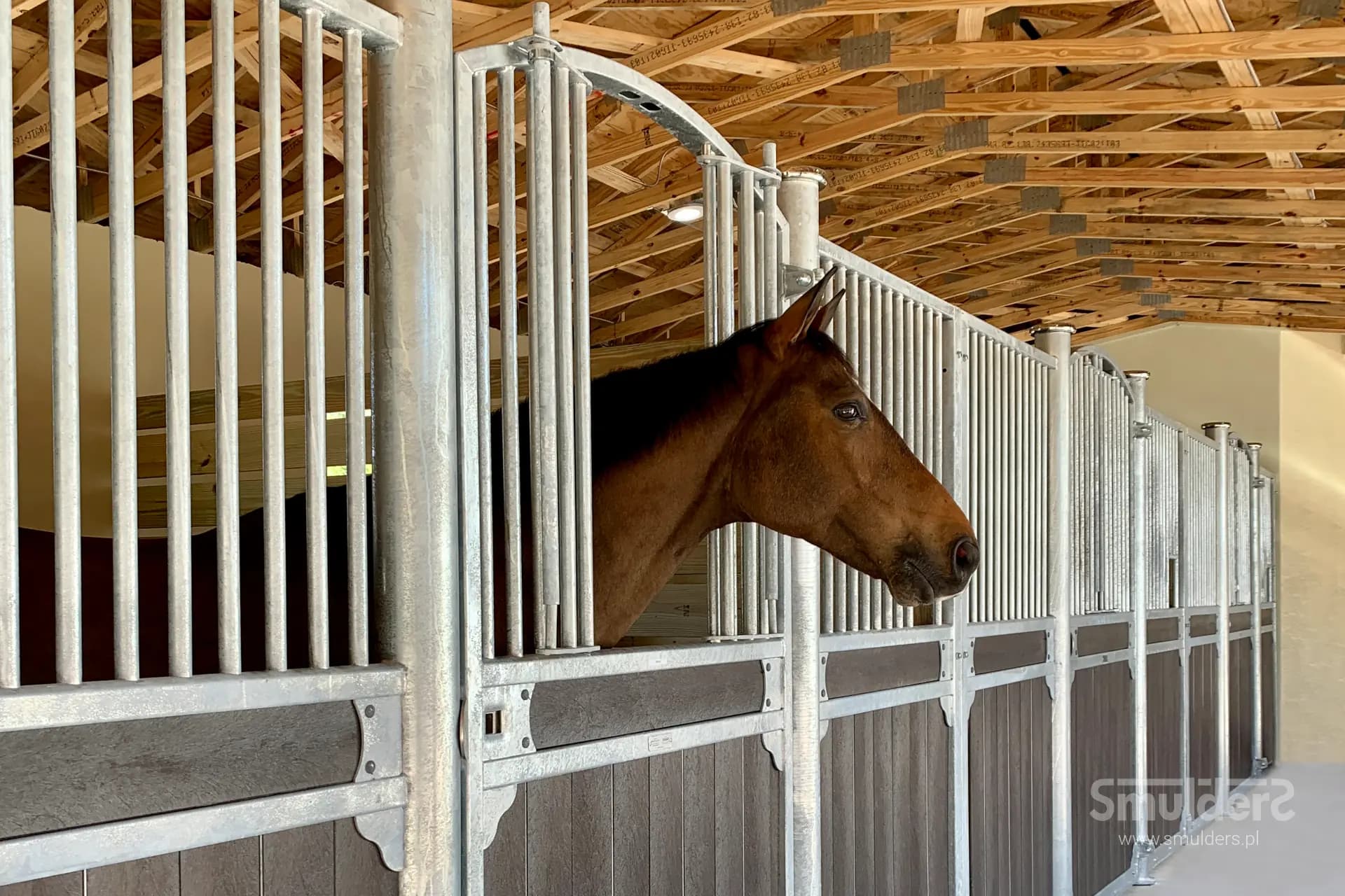 Stallion Drive, Florida, USA — billede 5