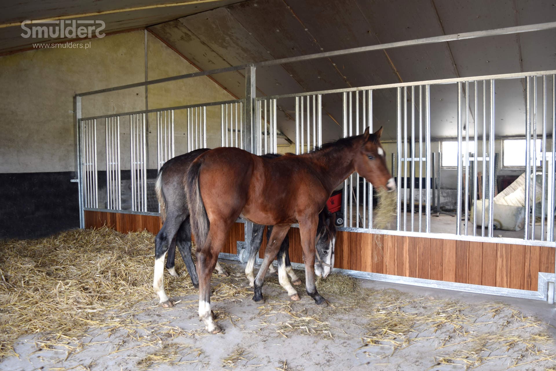 Young Horses staldboks — galleri billede 2