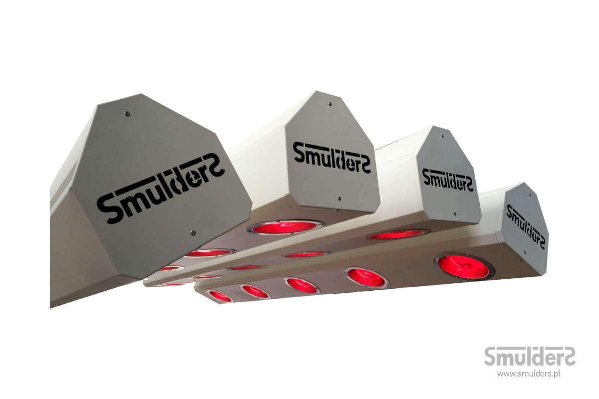 Smulders heste solarium galleri — billede 11