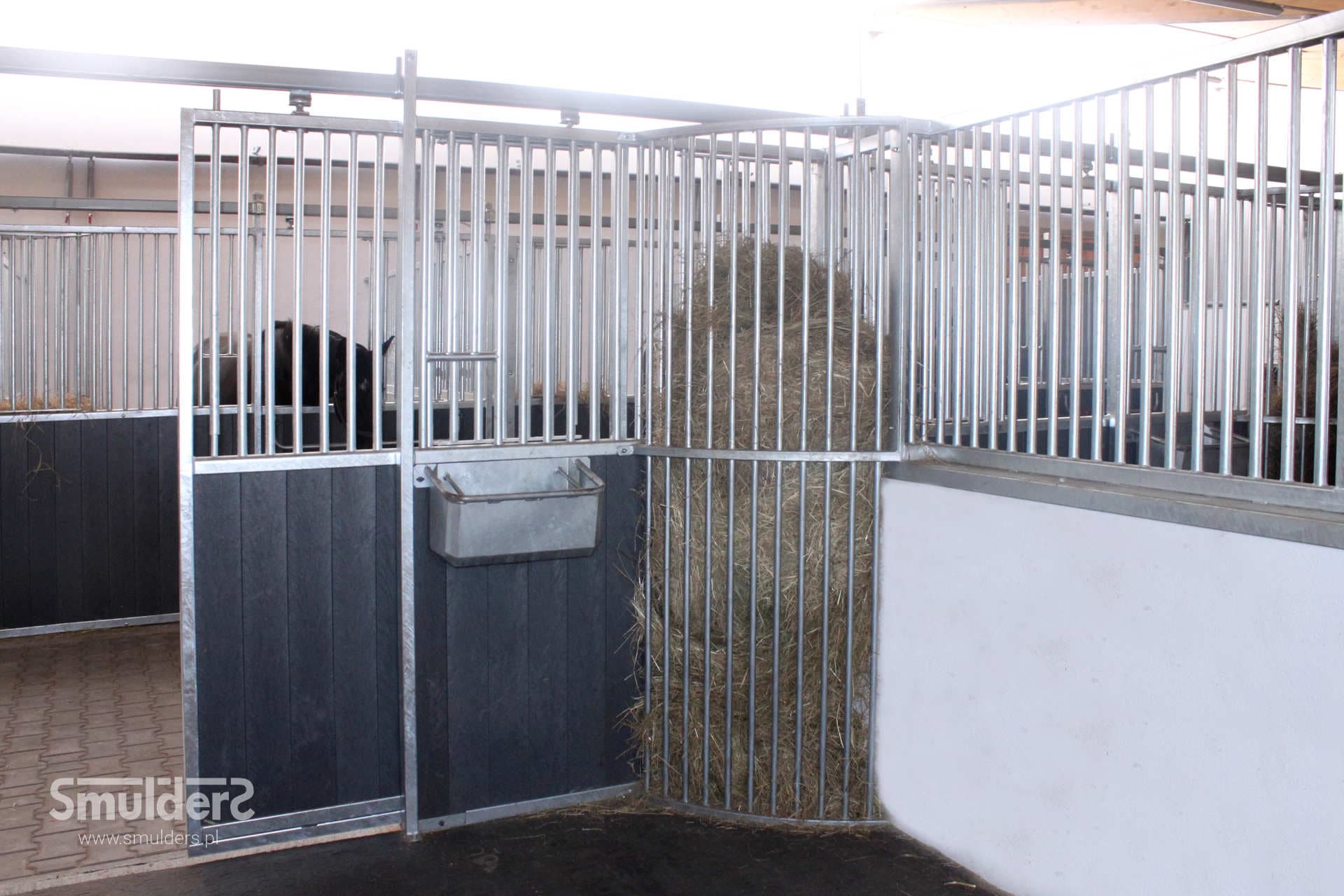 EquiClub Zamłyniec, Polen — billede 2